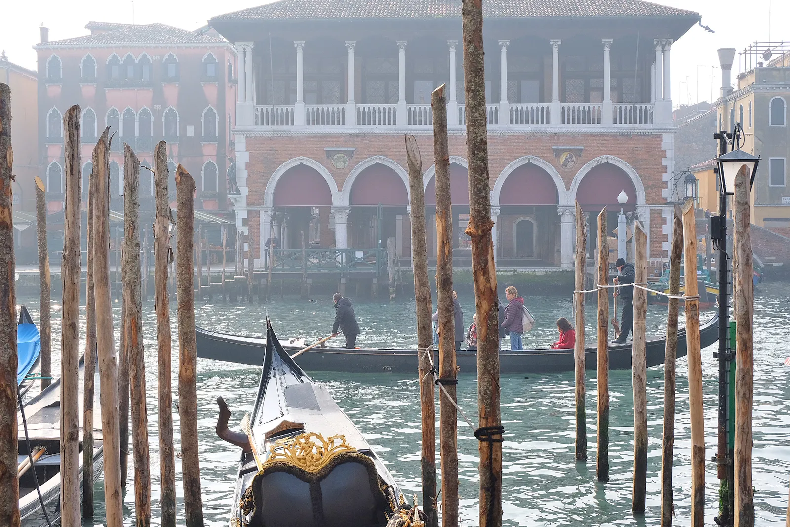 venezianische Eiche - das besondere Holz aus Venedig