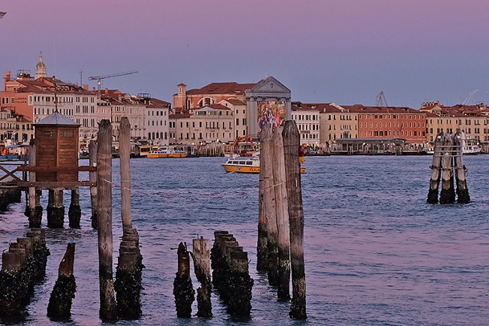venezianische Eiche - das besondere Holz aus Venedig